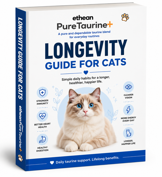Longevity Guide For Cats