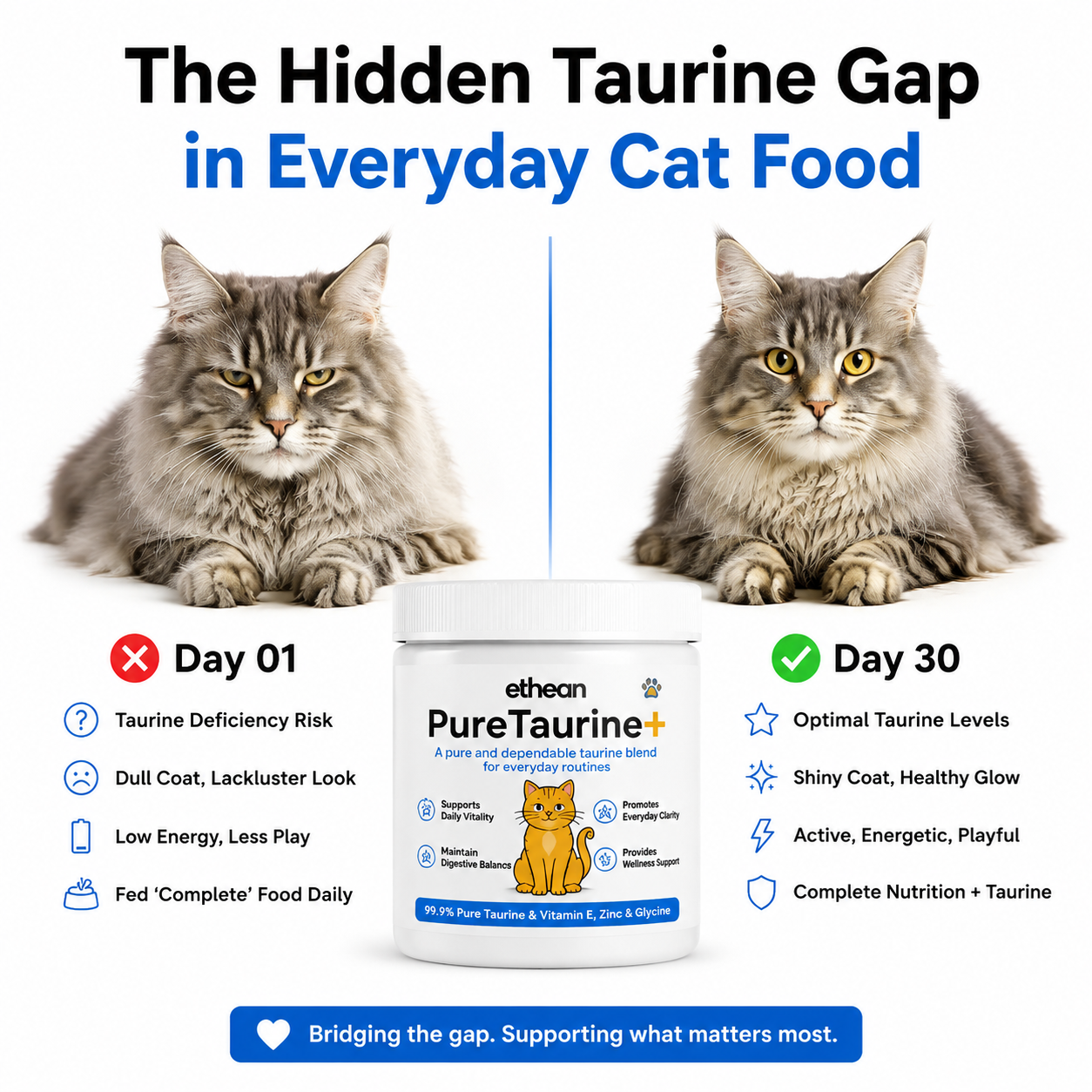 Ethean™ PureTaurine+